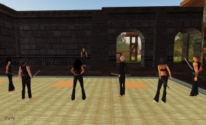 Grouptraining in ImperiuM