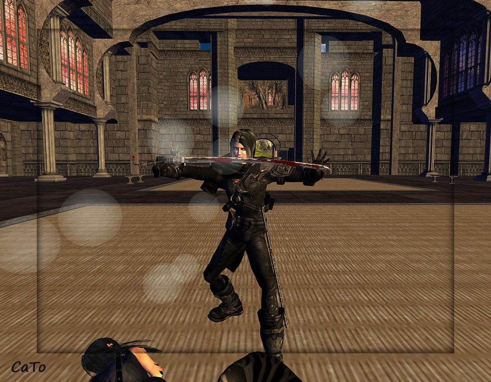 Ninjas! (click to enlarge)