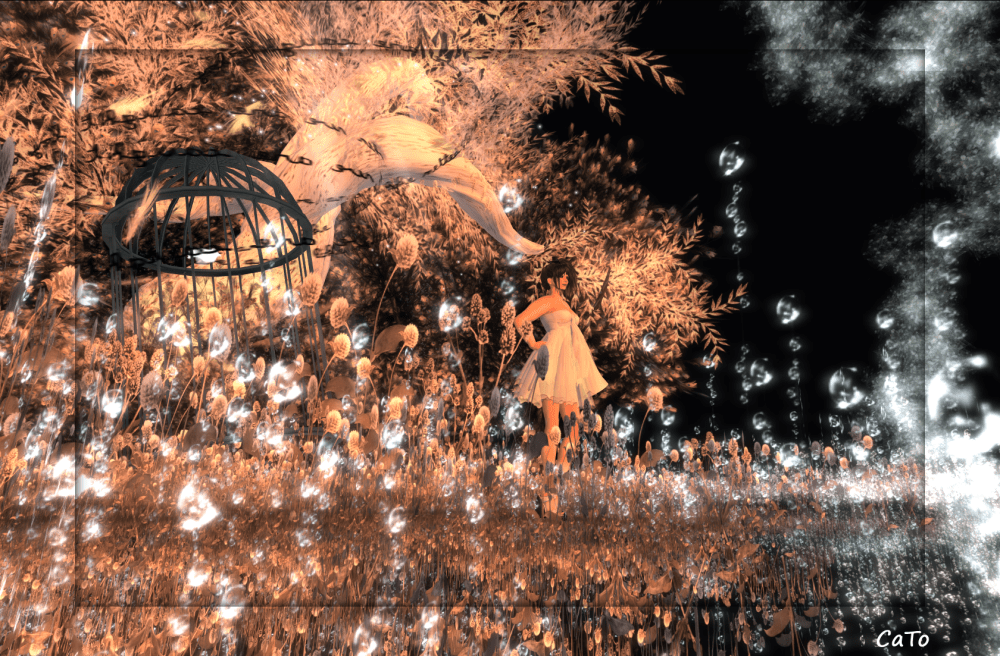 worlds end garden (click to enlarge)