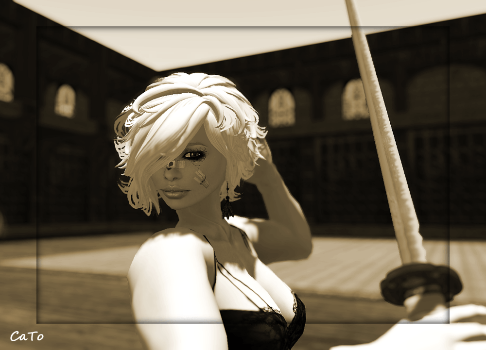 sword_004 (click to enlarge)