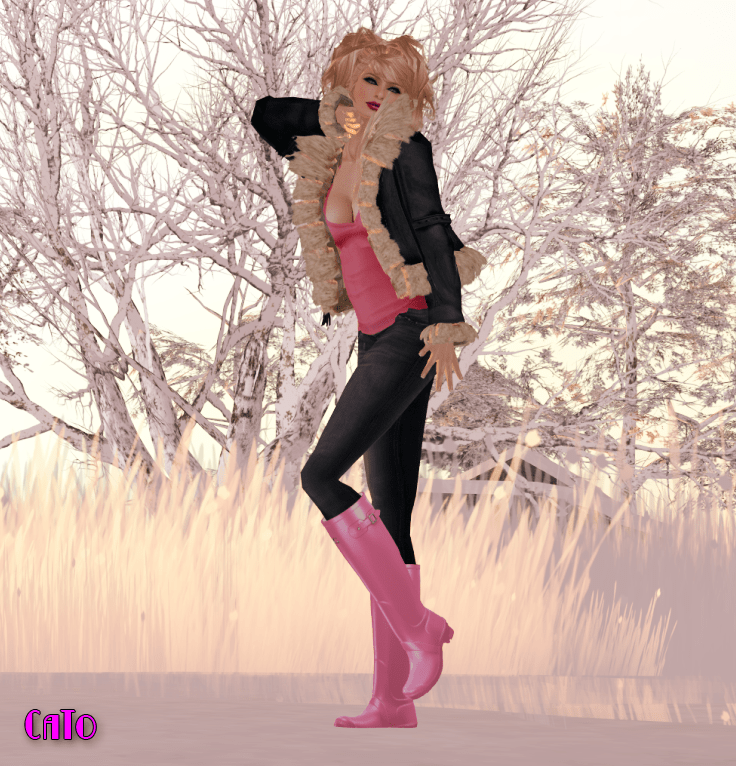 wellies_001 (click to enlarge)