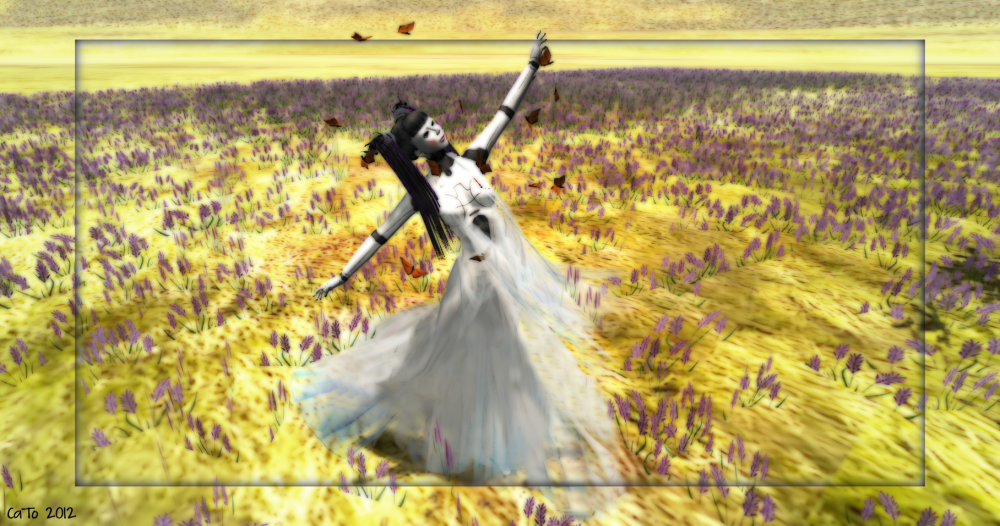 Happy_001 (click to enlarge)