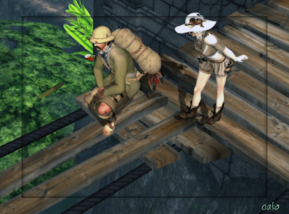 Exploring the Wilderness