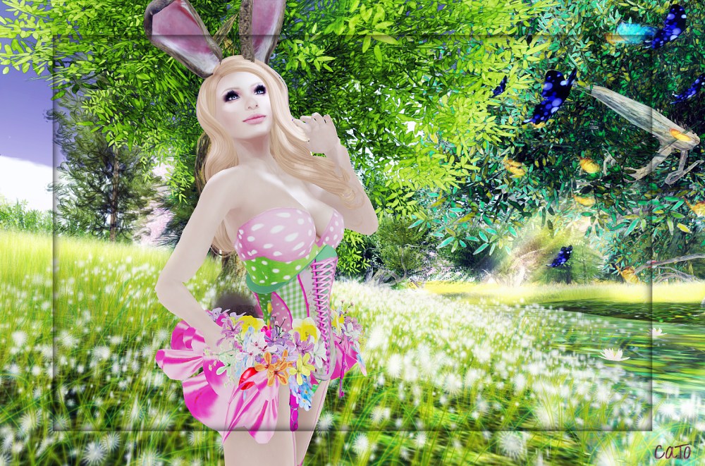 Bunny_001