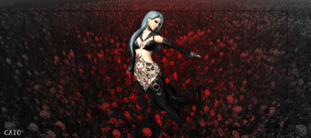 Crimson_Fields_004
