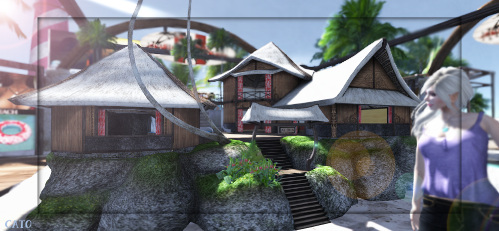 Sunday_003