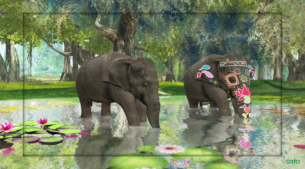 Maria_Lynn_Fallls_001