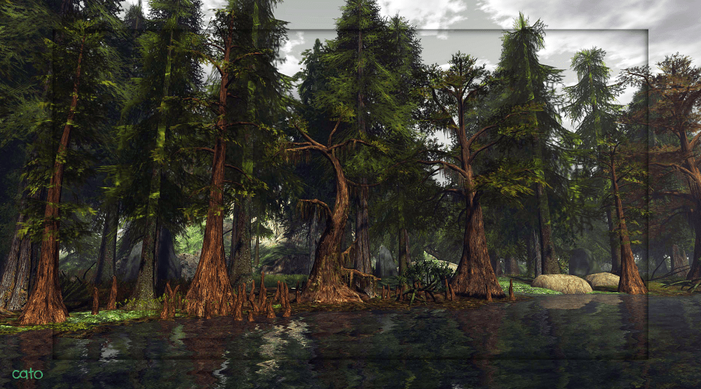 Quiet Wilderness_003