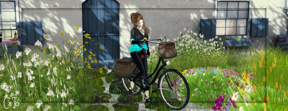 Always on the run _III