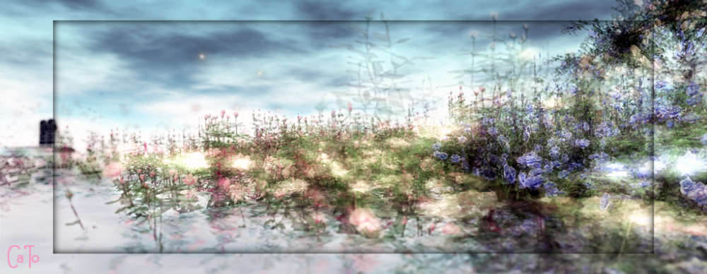 Worlds End Garden - I