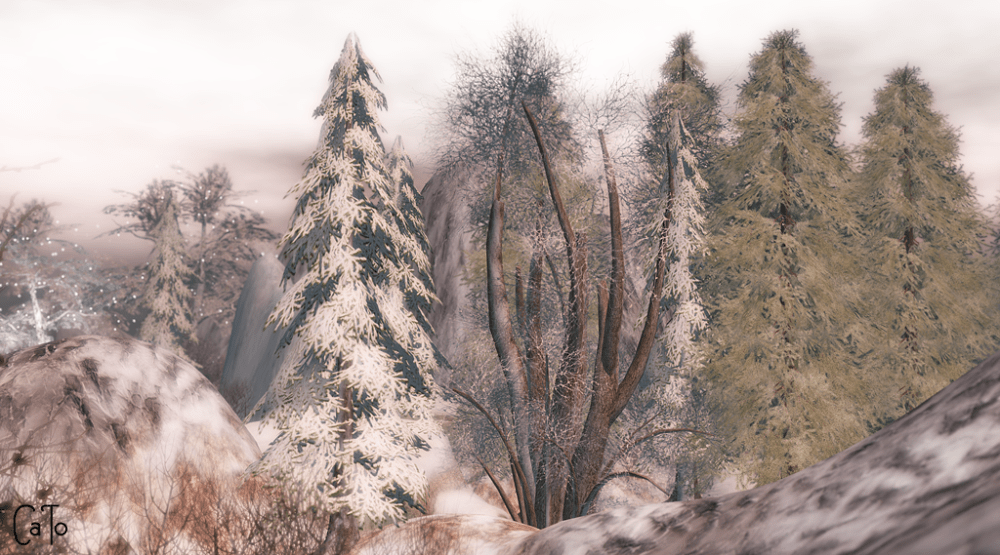 Dawn of Radiance - III