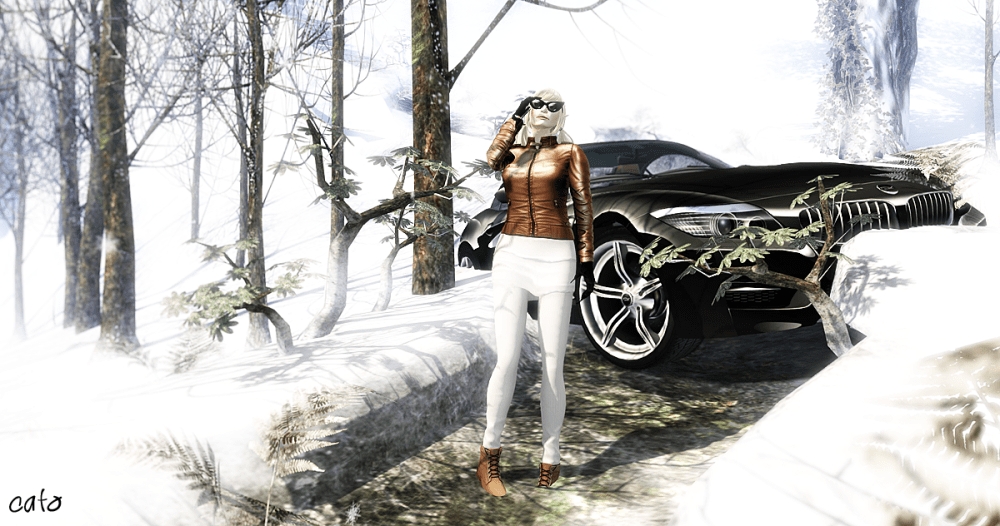 Ah yes...winter tyres..I knew I forgot something!