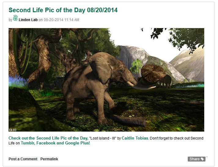 Pic of the day elephant 20aug2014