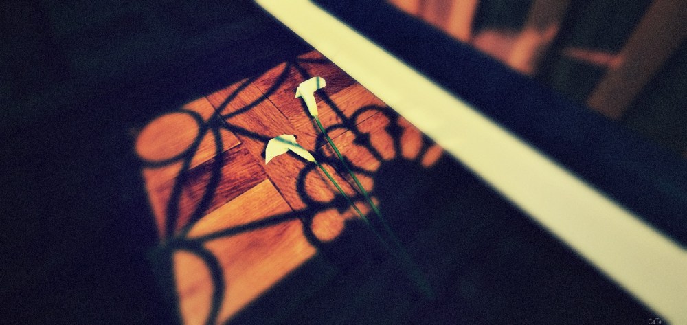 penumbra-and-lacrimioare-at-nordan-art-iv